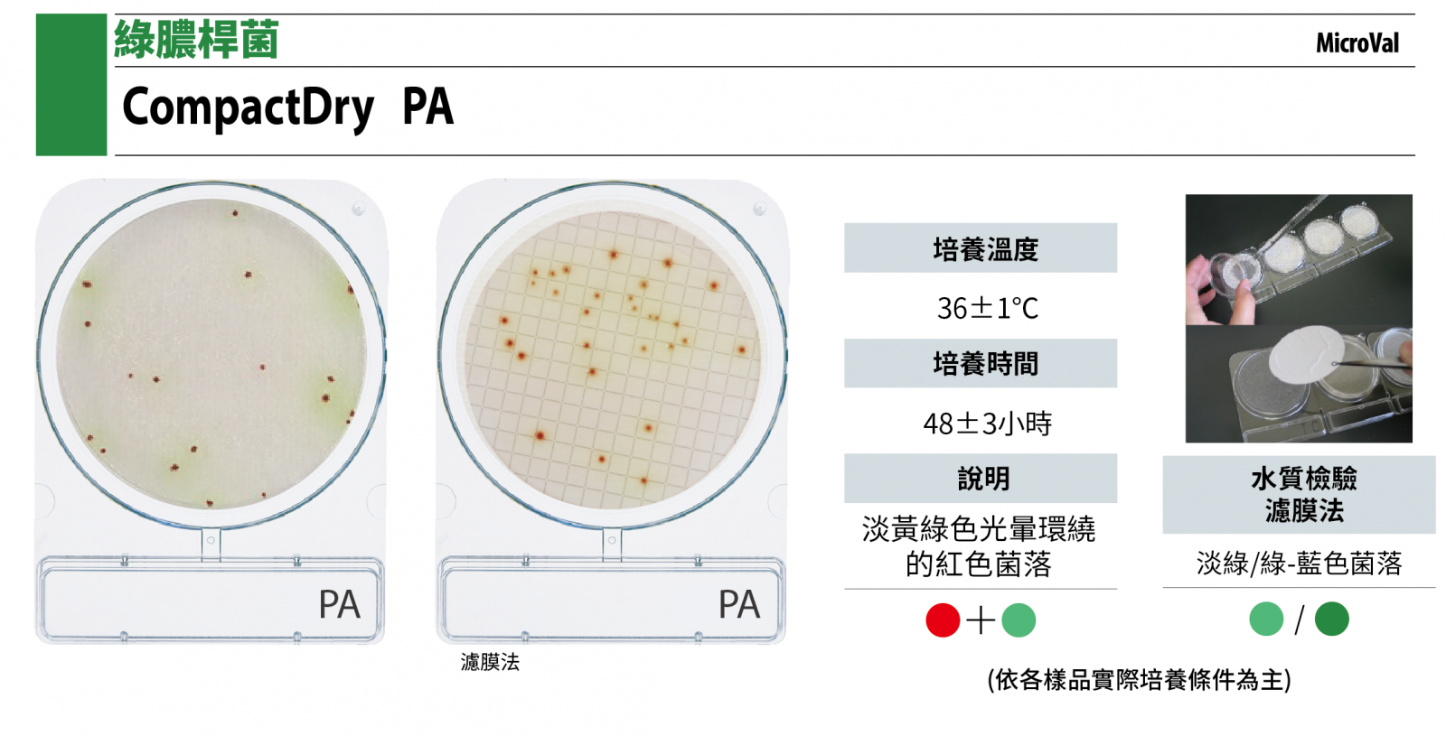 Compact Dry PA 綠膿桿菌測試片