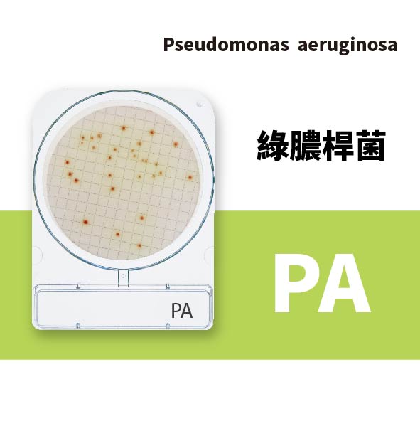 Compact Dry PA 綠膿桿菌乾式測試片