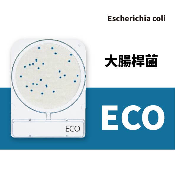 Compact Dry ECO 大腸桿菌乾式測試片