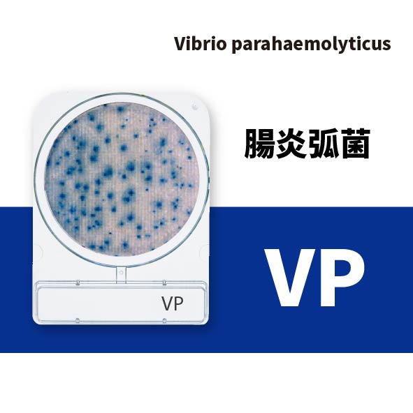 Compact Dry VP 腸炎弧菌乾式測試片