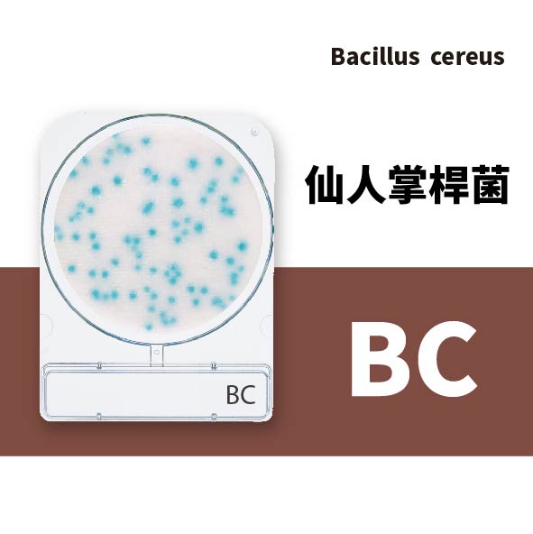 Compact Dry BC 仙人掌桿菌乾式測試片