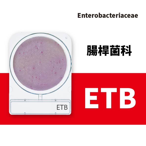 Compact Dry ETB 腸桿菌科乾式測試片