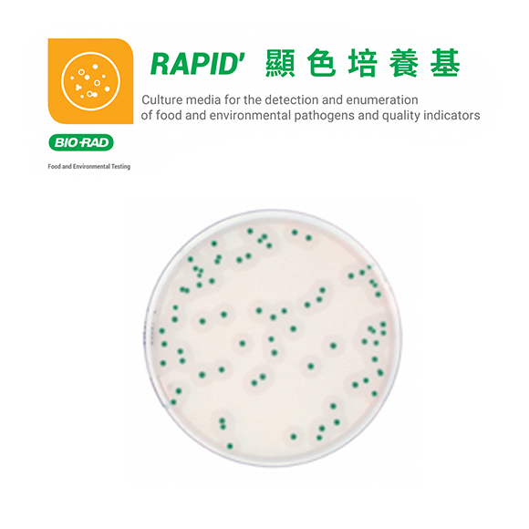 Bio-Rad 酵素顯色培養基