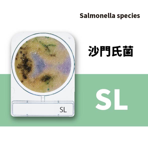 Compact Dry SL 沙門氏菌乾式測試片