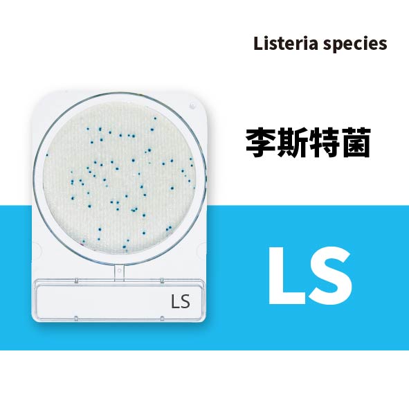 Compact Dry LS 李斯特菌乾式測試片