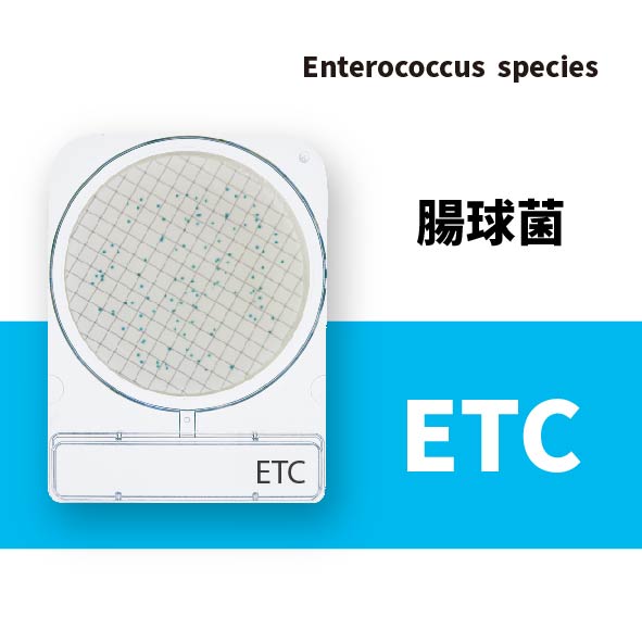 Compact Dry ETC 腸球菌乾式測試片