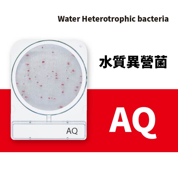 Compact Dry AQ 水質總生菌(異營菌)乾式測試片