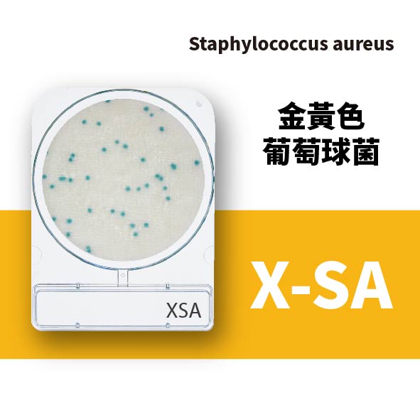 新網站微生物-23
