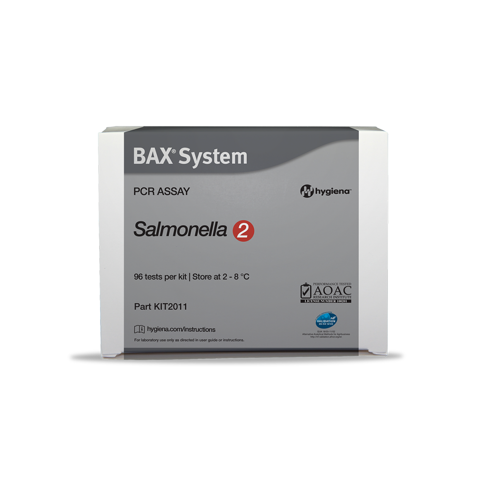 Salmonella2