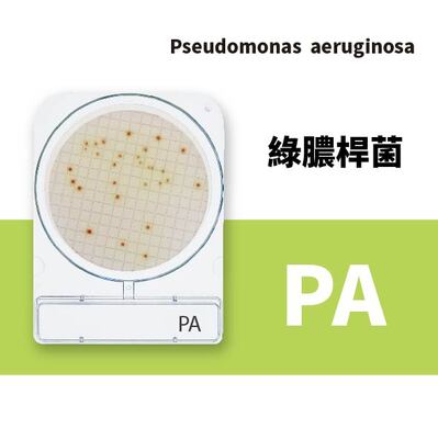Compact Dry PA 綠膿桿菌乾式測試片