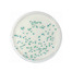 63638cd2a177e