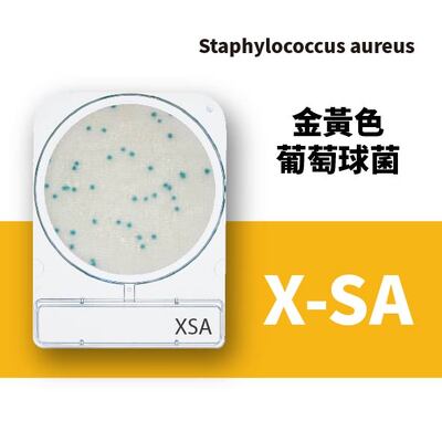 Compact Dry XSA 金黃色葡萄球菌乾式測試片