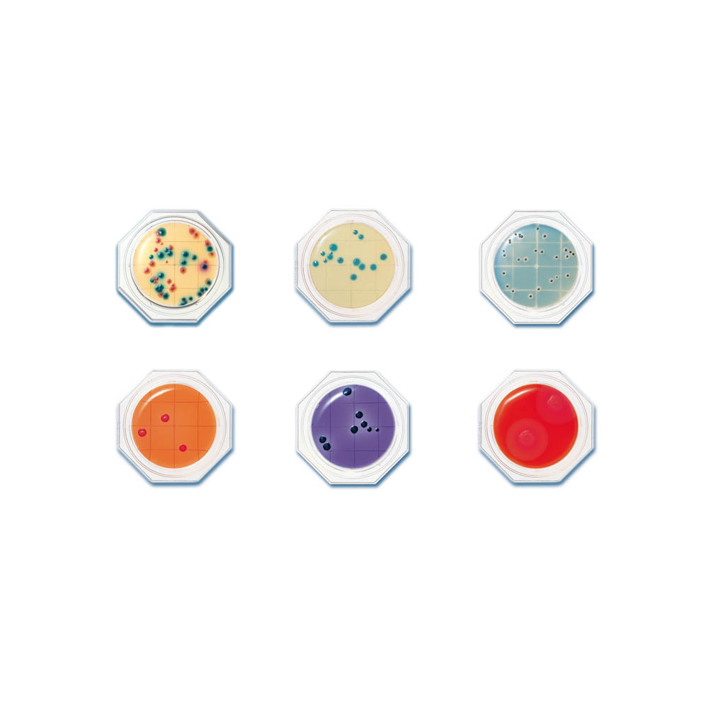 Food / Clean Stamp 表面採樣微生物檢測片